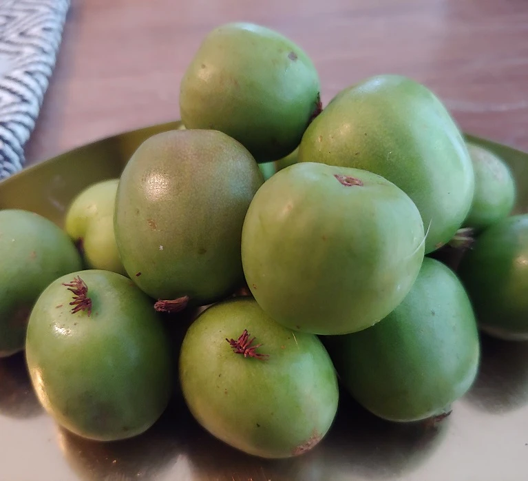 Bayern-Kiwi Set Actinida Arguta 2 Bayern-Kiwi Set Actinida Arguta – Bild 2