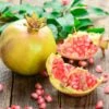 Granatapfel `Haku Botan´ Punica Granatum -Baumwelt Verkaufsgeschäft Granatapfel weiss Erweiterte Lizenz