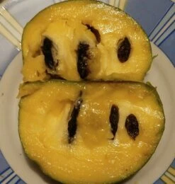 Veredelte Indianerbanane (Paw Paw) `Shenandoah®´ Asimina Triloba `Shenandoah´ -Baumwelt Verkaufsgeschäft Indianerbanane von Innen5a0476156796c