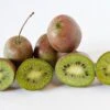 Großfrüchtige Bayern-Kiwi `Pink Jumbo´ Actinidia Arguta `Pink Jumbo´ -Baumwelt Verkaufsgeschäft Pink Jumbo1
