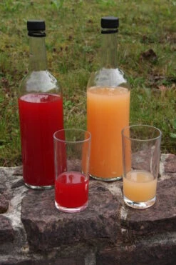 Rosette® Malus Domestica -Baumwelt Verkaufsgeschäft Rosette Saft