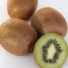 Kiwi `Solissimo´® Actinidia Deliciosa -Baumwelt Verkaufsgeschäft actinidia deliciosa kiwi 1s1b4334