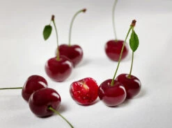 Achat Ⓢ Prunus Cerasus `Achat´ -Baumwelt Verkaufsgeschäft sauerkirsche achat ggmc5Q8G1QL1D9