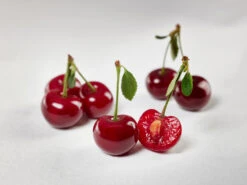 Safir ® Prunus Cerasus `Safir´ 11 Safir ® Prunus Cerasus `Safir´ -Baumwelt Verkaufsgeschäft sauerkirsche safir glCz99JjQsQ3RC